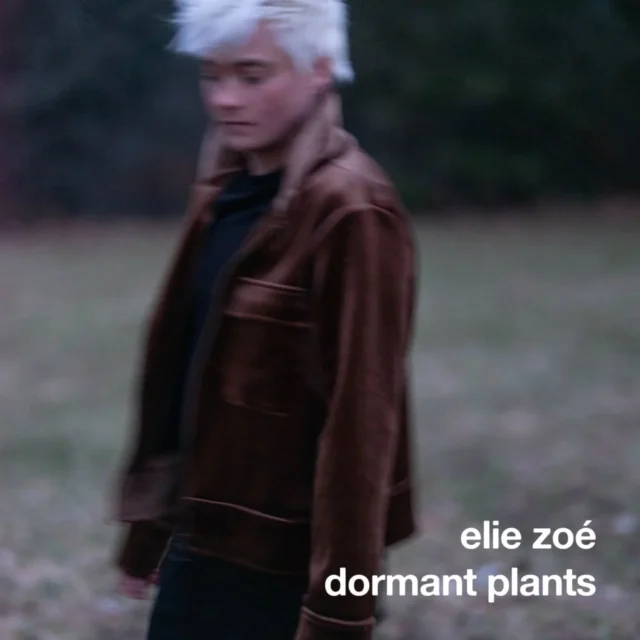 "dormant plants" est en ligne!
c’est le deuxième extrait de mon album à paraître le 10 octobre.
il parle de marcher dans la forêt la nuit, de perdre la notion d’échelle, de ne plus très bien savoir où l’on finit et où commencent les autres êtres...
vous pouvez l’écouter ou regarder la vidéo via le lien dans la bio. j’ai fait une traduction des paroles en français disponible en sous-titres sur youtube.
j’espère qu’il vous plaira!
ez
🌿
"dormant plants" is out now!
it’s the second single from my upcoming album, due out on october 10.
it's about walking through the forest at night, losing your sense of scale, not quite knowing where you end and other beings begin...
you can listen to the track or watch the video via the link in bio. 
i hope you’ll like it!
ez

📷 @lea__kunz