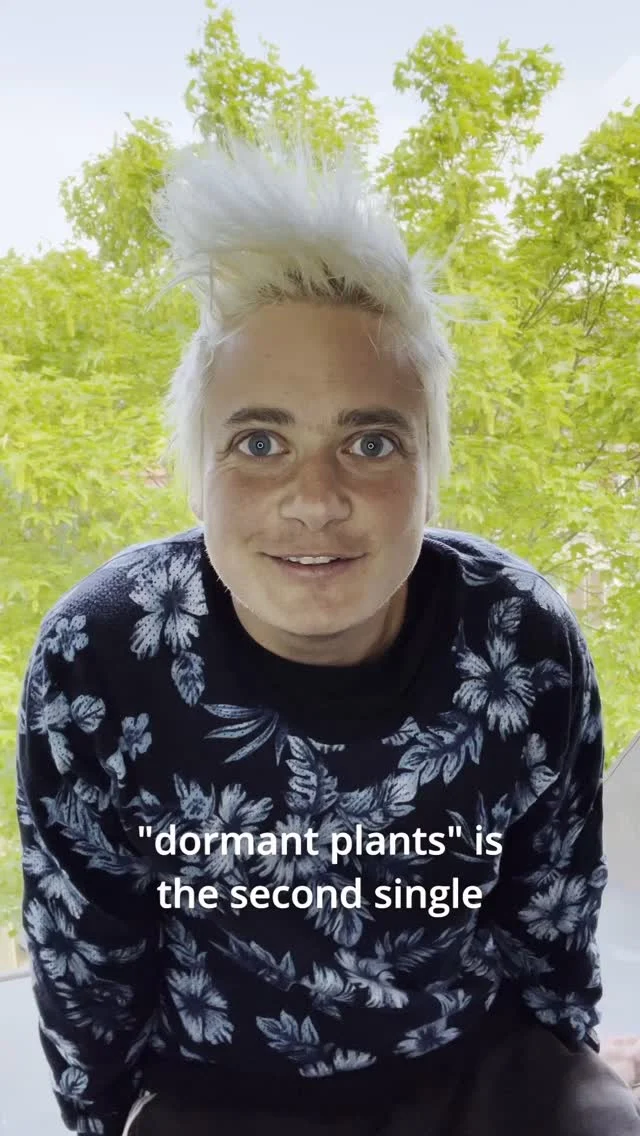à propos de « dormant plants », deuxième single extrait de l’album « shifting forms » à paraître le 10 octobre. merci la fauvette à tête noire! 
🐦‍⬛
some words about "dormant plants", second single taken from the forthcoming album "shifting forms" due for release on october 10. thanks to the black-capped warbler!